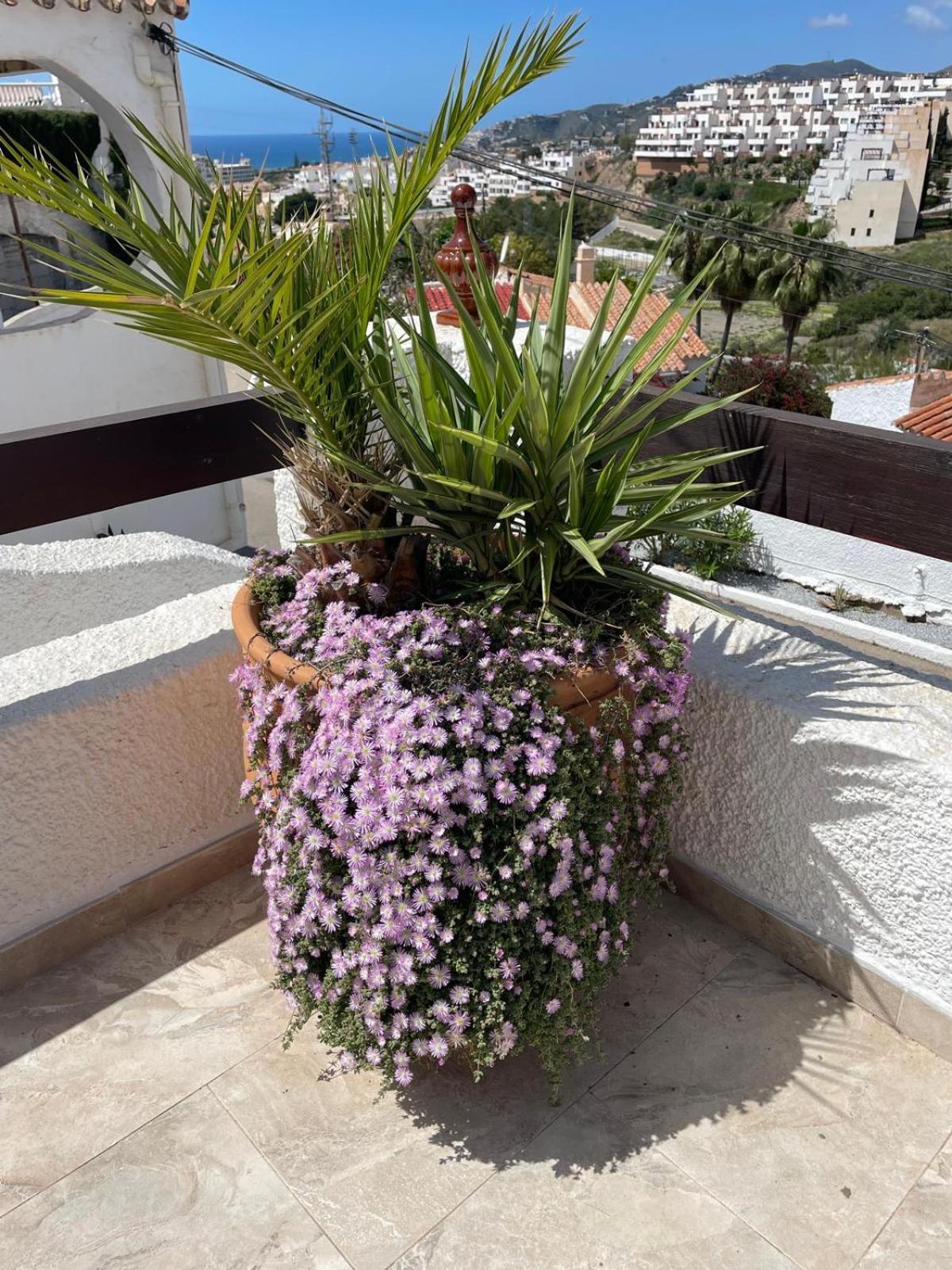 Naricha 1 Menyber Villa Nerja Exterior foto